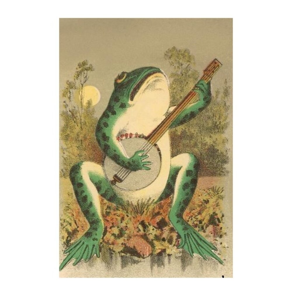 Frog Playing Banjo In Moonlight Poster 170
